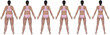 Weight Loss Progress Rear View
