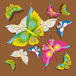 butterfly, pattern, background