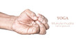 Mukula mudra