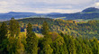 Wald - Blick auf die schwäbische Alb