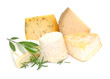 Olivenzweig, Käse