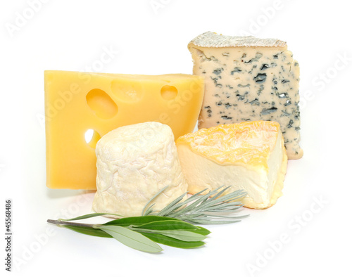 Photo: Olivenzweig Olivenzweig