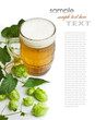 Beer and hop