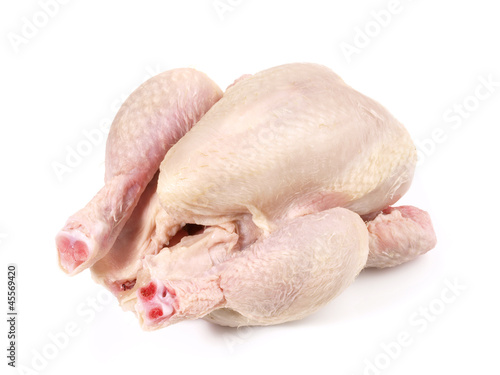 Photo: Stubenküken Stubenküken