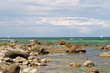 Auf der Insel Rügen