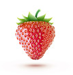 Illustration: fresh strawberry fresh strawberry