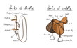 saddle-bridle