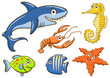 aquatic animals