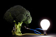 Vegetable powering a light bulb