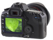 feuille de ficus sur appareil photo