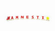 amnesty