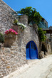 Greek House with Blue Door and Flowers