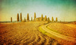 vintage tuscan landscape