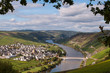 Trittenheim im Moseltal