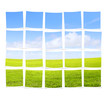 Pieces of nature picture