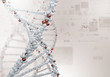 DNA Strand
