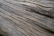 Holz, Baum, Rinde, Natur, natürlich, Struktur, Hintergrund