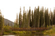 Old rotten abandoned bridge over McQuesten River