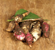 Topinambur