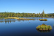 Lake in wetlands, national park Bohemian Forest, EU.