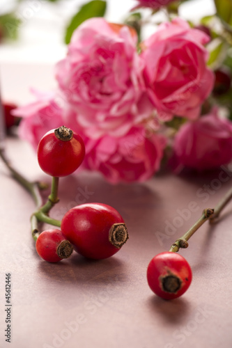 Photo: rote Hagebutten rote Hagebutten