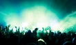 cheering crowd at concert