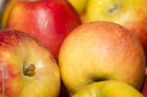 Photo: fruit fruit