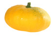 squash on white