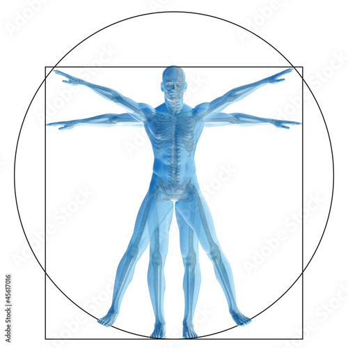 Illustration: Vitruvian human or man as concept Vitruvian human or man as concept