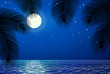 Sea landscape with the moon and palm trees.