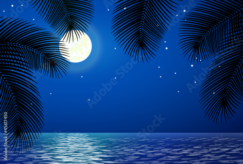 Vector: Sea landscape with the moon and palm trees. Sea landscape with the moon and palm trees.