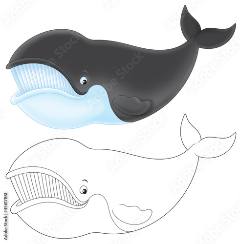 Illustration: Bowhead whale Bowhead whale