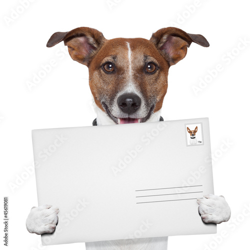 Photo: post envelope mail stamp dog post envelope mail stamp dog