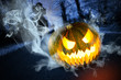 Scary halloween pumpkin in the dark forest at night