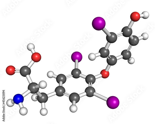 Illustration: Triiodothyronine molecule Triiodothyronine molecule