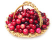 Cranberries with basket