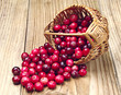 Cranberries near the basket