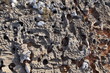 Photo: Karst field on Socotra Island Karst field on Socotra Island