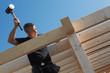 carpenter at work