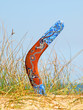 Boomerang on overgrown sandy dune.