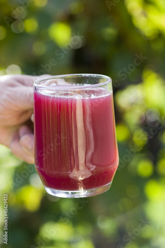 Photo: Fruit Wine - Traubenmost Fruit Wine - Traubenmost