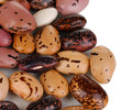 Sprinkled white and brown beans close-up isolated on white