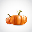 Two Pumpkins