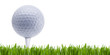 Golfball auf Tee