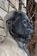 statue of man with mustache