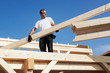 carpenter at work
