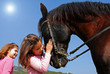 Photo: jumelles et cheval jumelles et cheval