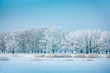 Winter park in snow