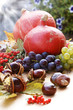 Herbstliche Dekoration