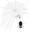 Intelligente fly-house and spider